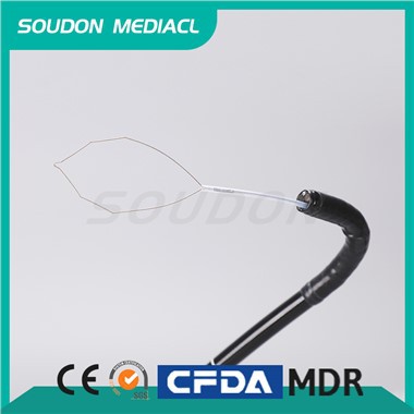 Us Endoscopy Cold Snare
